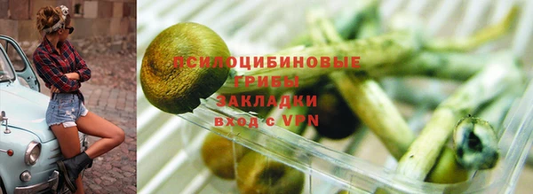 стаф Гусиноозёрск