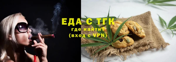 гашик Гусь-Хрустальный