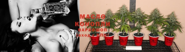 гашик Вяземский