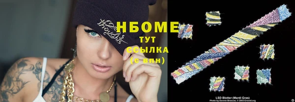 гашик Гусь-Хрустальный