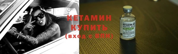 гашик Вяземский