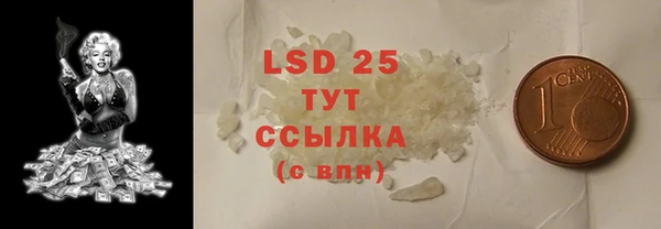 гашик Вяземский