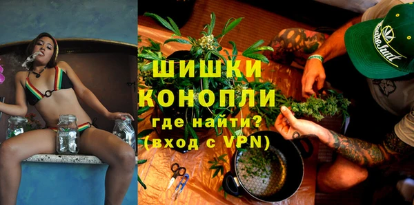 гашик Вяземский