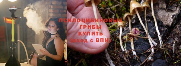 первитин Тавда