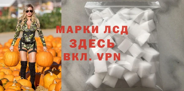 гашик Гусь-Хрустальный