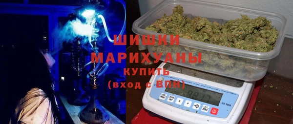 гашик Гусь-Хрустальный