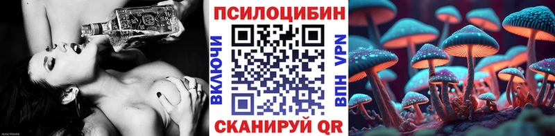 Галлюциногенные грибы Cubensis Данилов